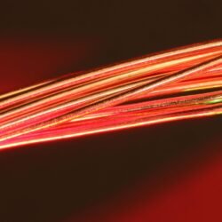 Detailed image of copper wires illuminated by red light, highlighting texture and color.